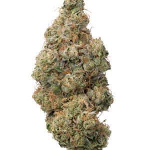 Black Maple Living Soil - THCa 28.256% - Terpenes 3.860% - Indica