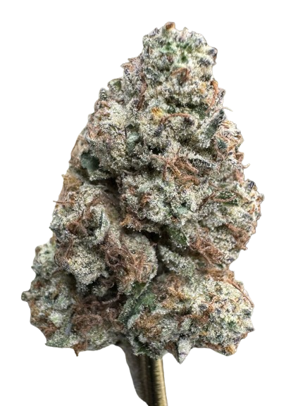 Blueberry Caviar 24.31% THCA | Sativa-Dominant Hybrid