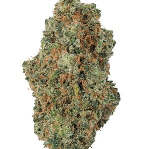 Colombian Gold Living Soil - THCa 30.299% : Terpenes 1.620% - Sativa