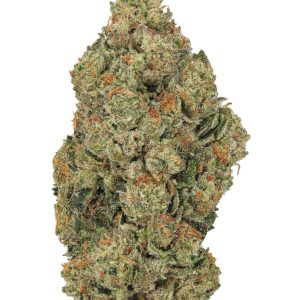 Dosidos Living Soil - THCa 27.946% : Terpenes 1.560% - Indica