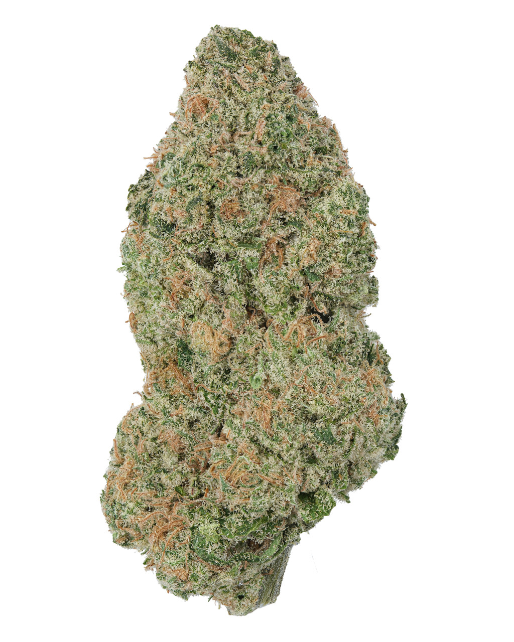 Lemon Drop Living Soil - THCa 27.757% : Terpenes 2.160% - Sativa
