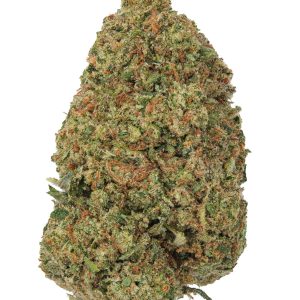 London Pound Cake Living Soil - THCa 29.292% : Terpenes 1.950% - Indica