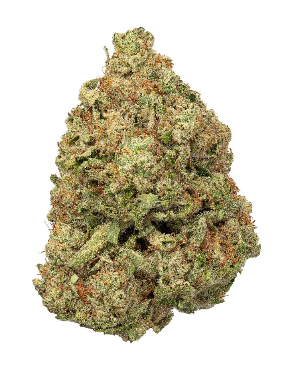 Sin Mint Cookies Living Soil - THCa 27.998% : Terpenes 2.220% - Indica