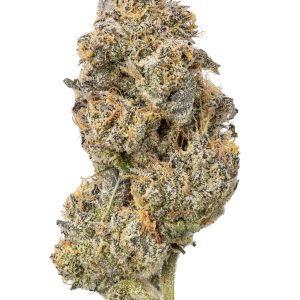 Sticky Purple Living Soil - THCa 28.461% : Terpenes 2.380% - Indica