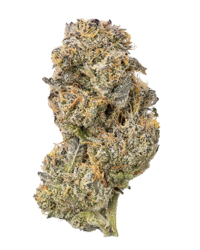 Sticky Purple Living Soil - THCa 28.461% : Terpenes 2.380% - Indica