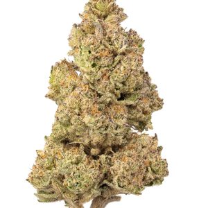 Zhitz Fire Living Soil - THCa 28.611% : Terpenes 1.500% - Sativa