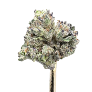 Zonuts Smalls 25.61% THCA  | Hybrid