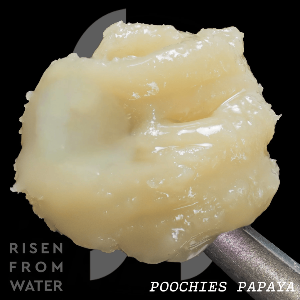 ROSSLYN Reserve Live Rosin | 1g | 5+ Select Strains