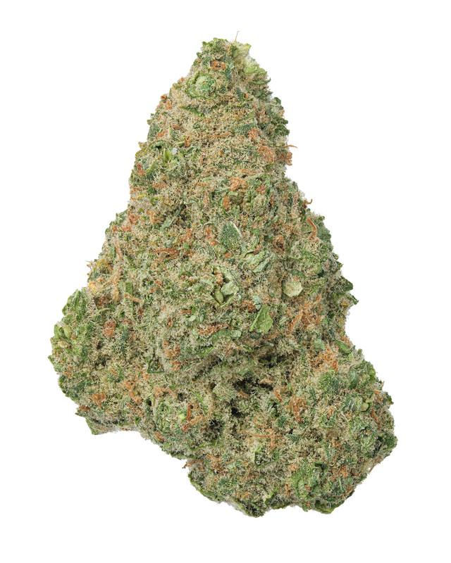 Green Crack Living Soil - THCa 32.865% : Terpenes 1.540% - Sativa