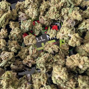 Lucky Charmz - Sativa - Smalls - CALIFORNIA FARMS