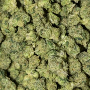 California's Finest | Exotic Smalls ---> Obama Runtz 19.52% THCA - Indica