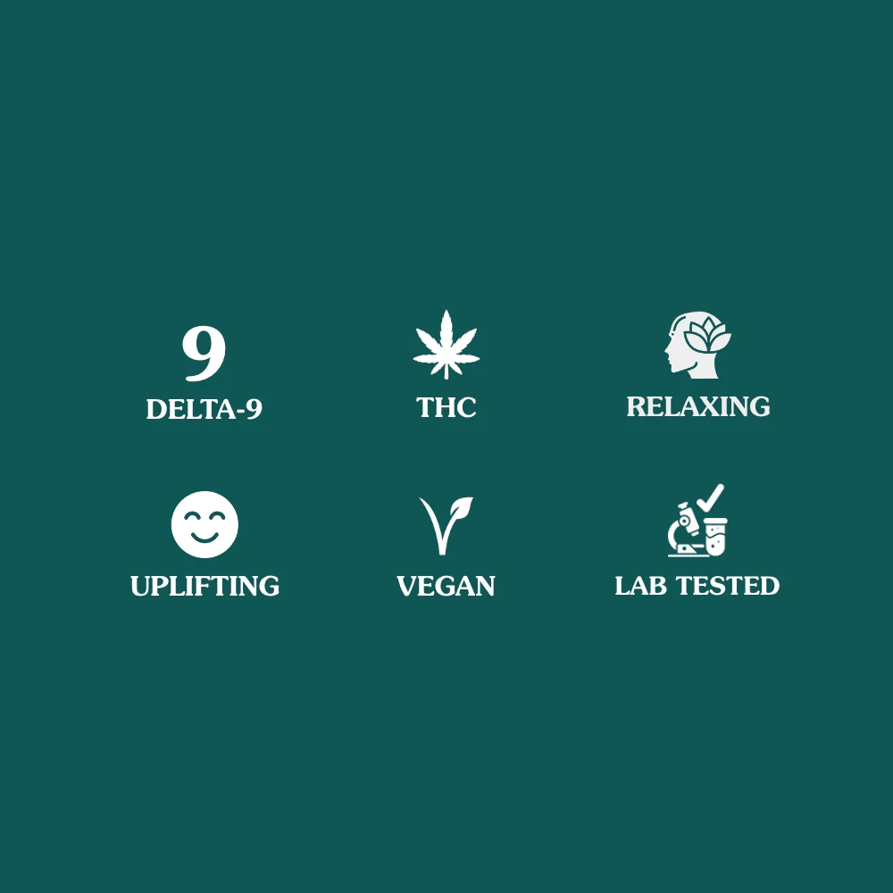 Delta 9 THC 20mg Gummies - 5ct Assorted - Image 4