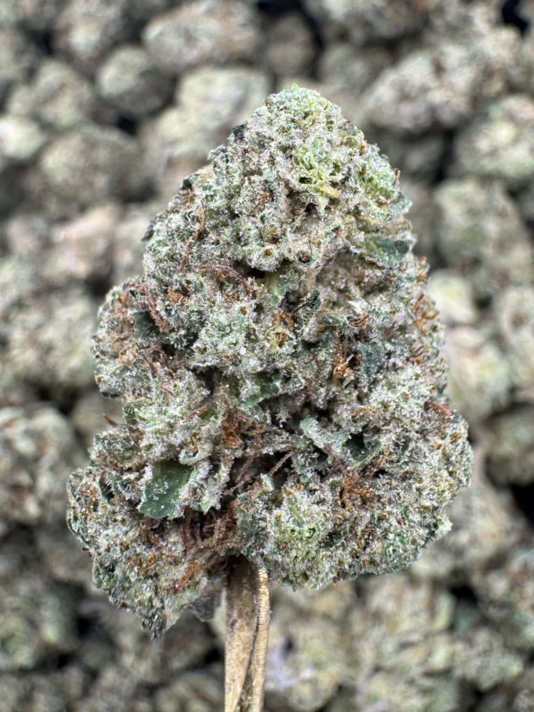 Blueberry Eclair - THCA BULK Flower - Indoor