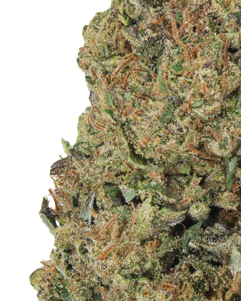 SMALLS | Double Shotz Living Soil - THCa 25.608% : Terpenes 1.740% - Hybrid