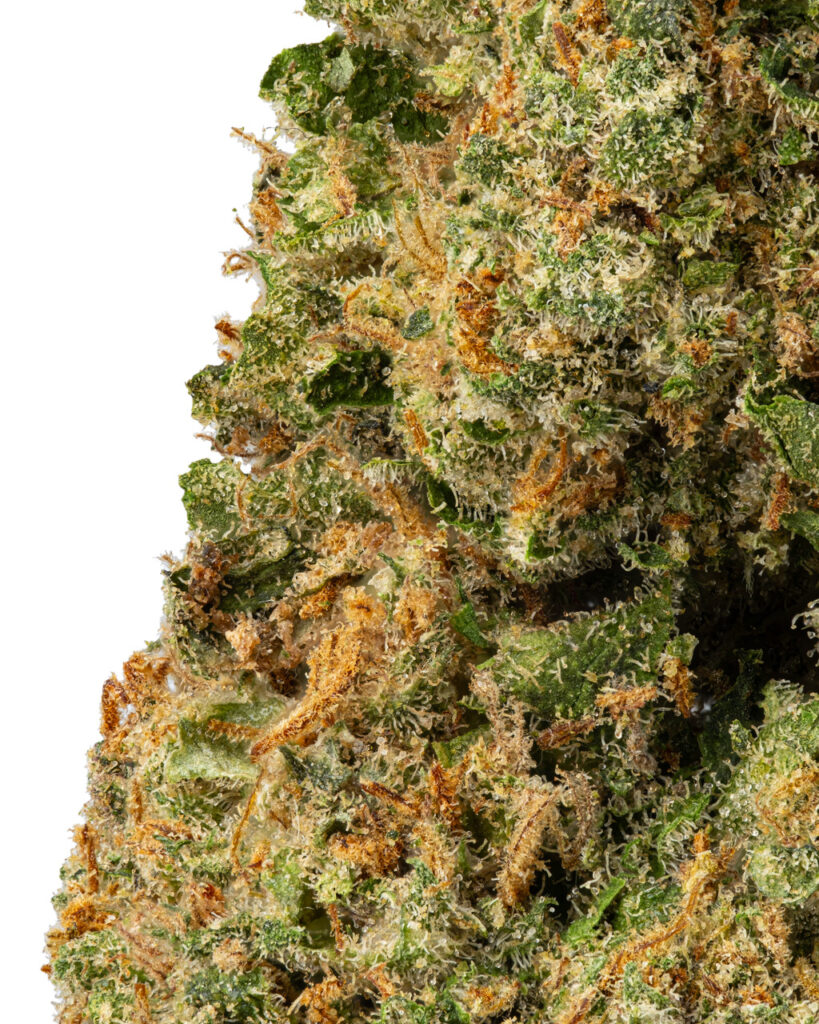 SMALLS | Durban Poison Living Soil - THCa 27.717% : Terpenes 3.220% - Sativa