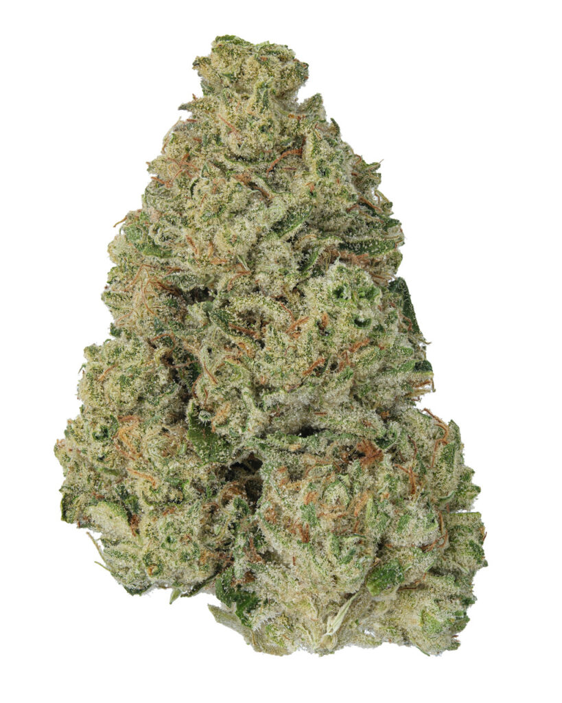 Animal Mintz Living Soil - THCa 29.739% : Terpenes 0.900% - Hybrid
