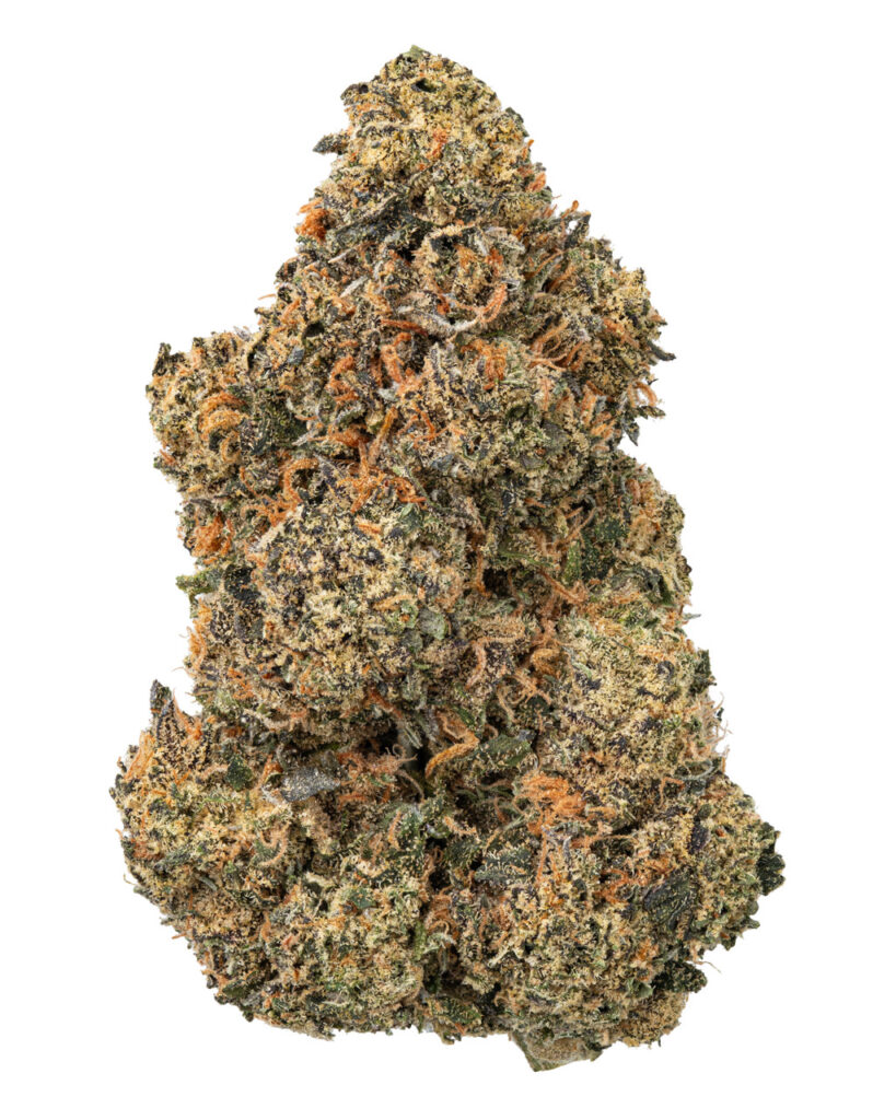 EXOTIC | Garlic Budder Living Soil - THCa 30.784% : Terpenes 1.920% - Indica