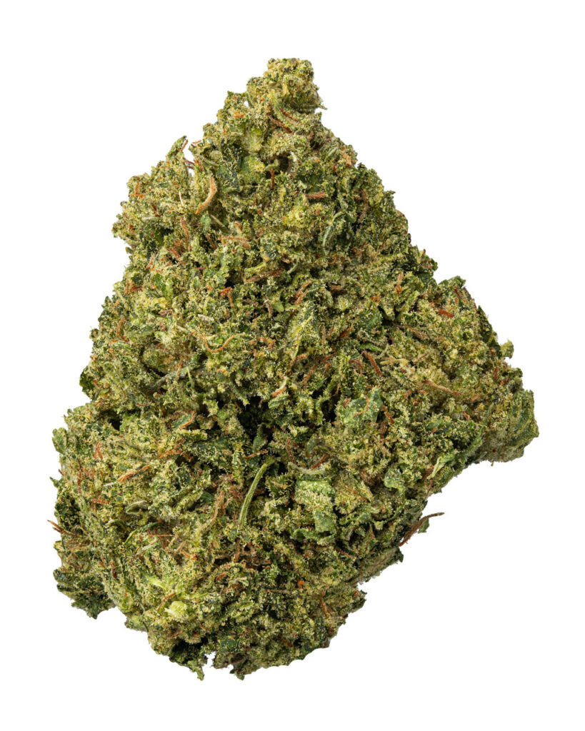 BIGS | Jet Fighter Living Soil - THCa 31.743% : Terpenes 3.300% - Sativa
