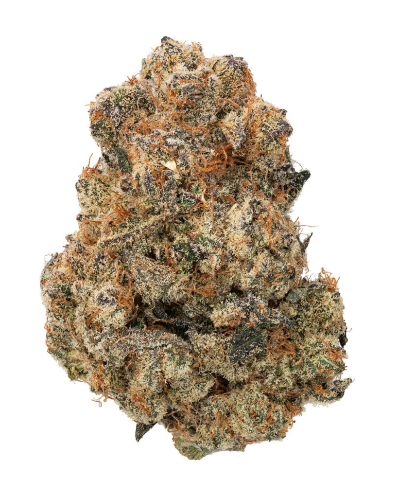 EXOTIC | Mango Kush Living Soil - THCa 29.420% : Terpenes 1.550% - Indica