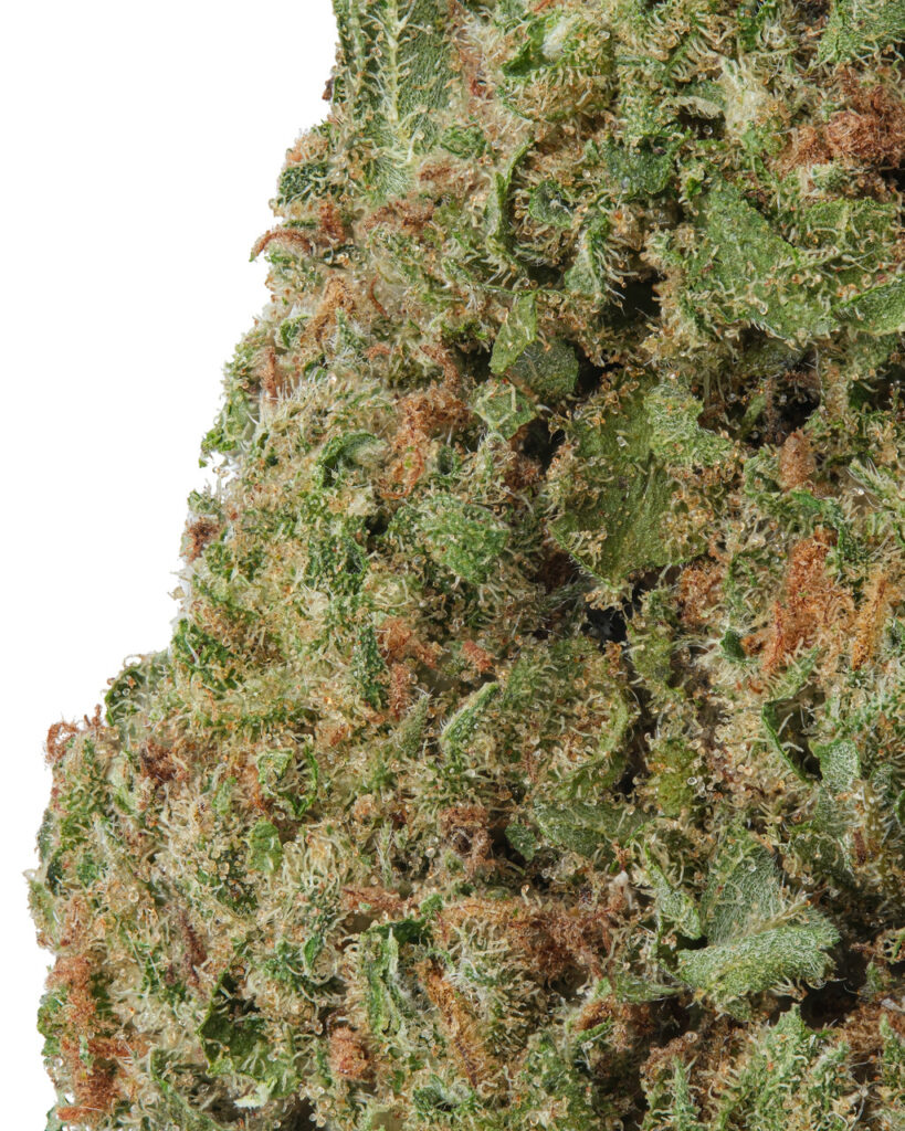 SMALLS | Wedding Cake Living Soil - THCa 28.166% : Terpenes 1.390% - Indica