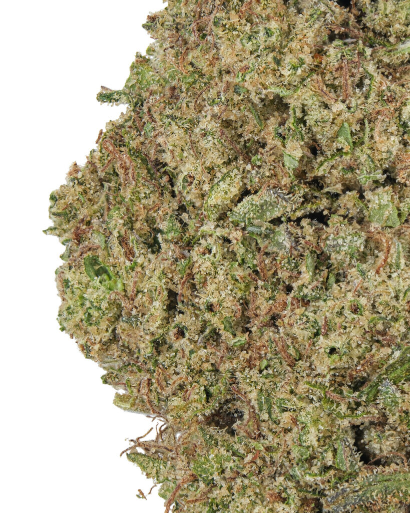 SMALLS |  Cherry Punch Living Soil - THCa 26.400% : Terpenes 2.620% - Hybrid