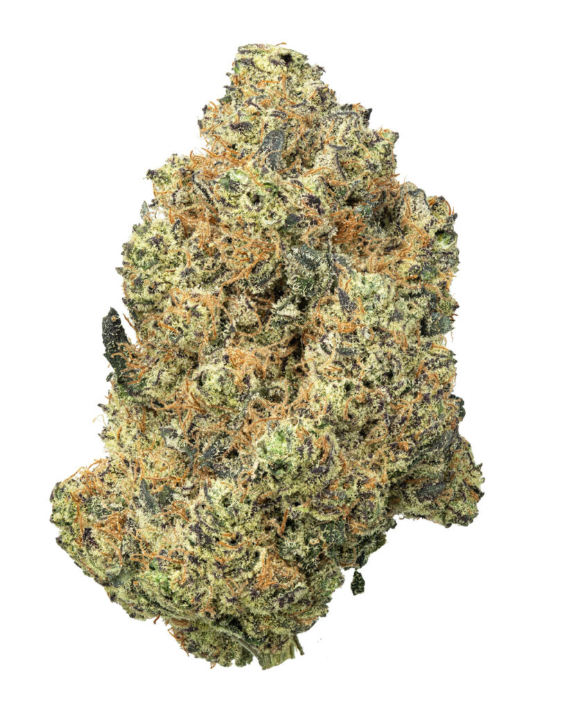 EXOTIC | Detroit Muscle Living Soil - THCa 29.159% : Terpenes 1.290% - Indica