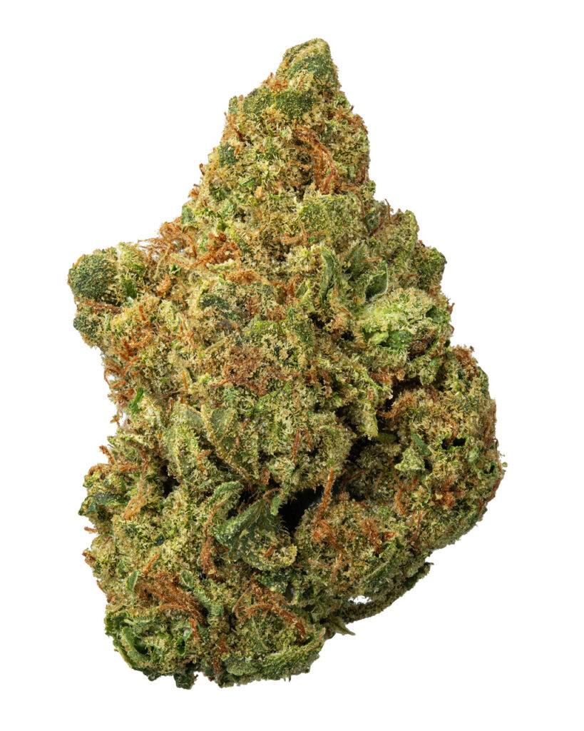 $119.99 | Orange Julius Hydro - THCa 33.110% : Terpenes 2.750% - Sativa