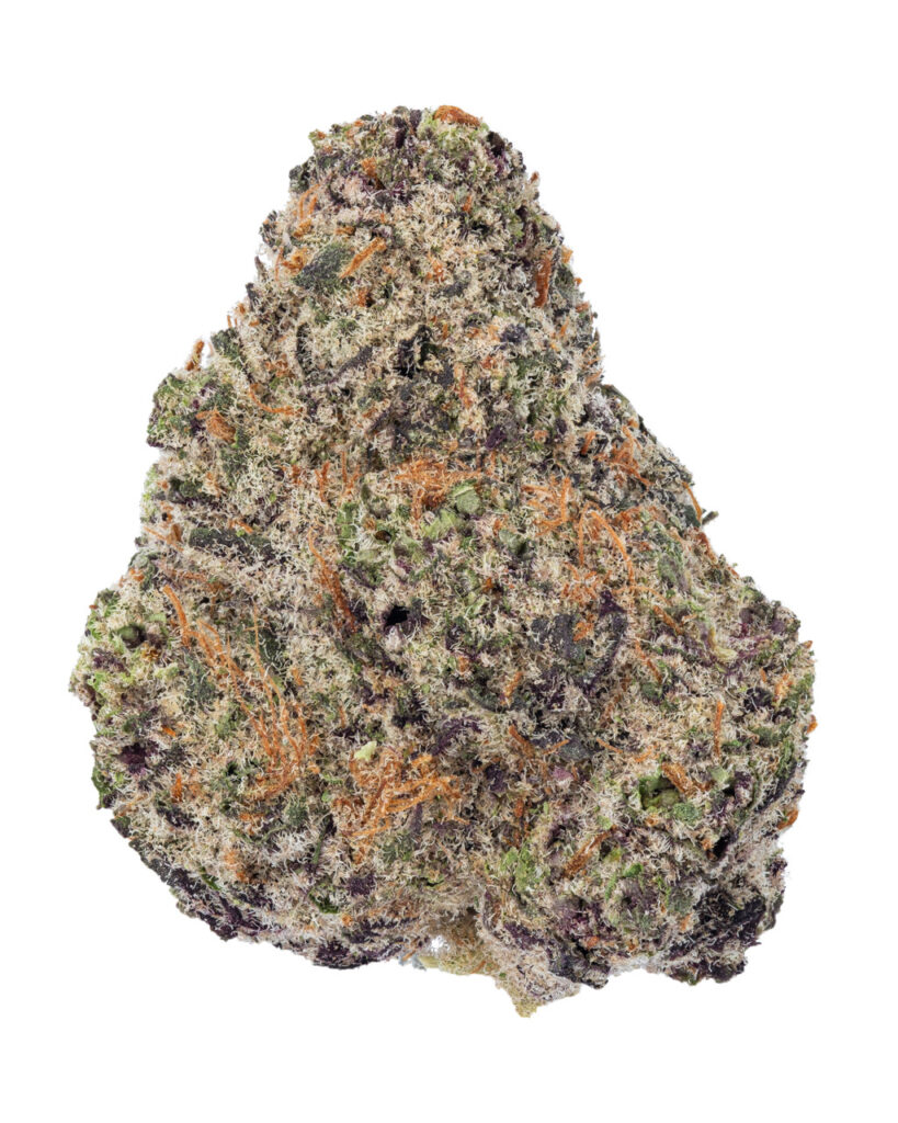 $119.99 | Purple Pancake Hydro - THCa 30.889% : Terpenes 2.222% - Indica