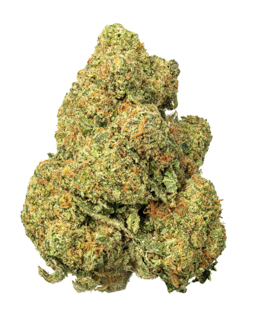 SFV OG Hydro - THCa 30.497% : Terpenes 3.190% - Indica