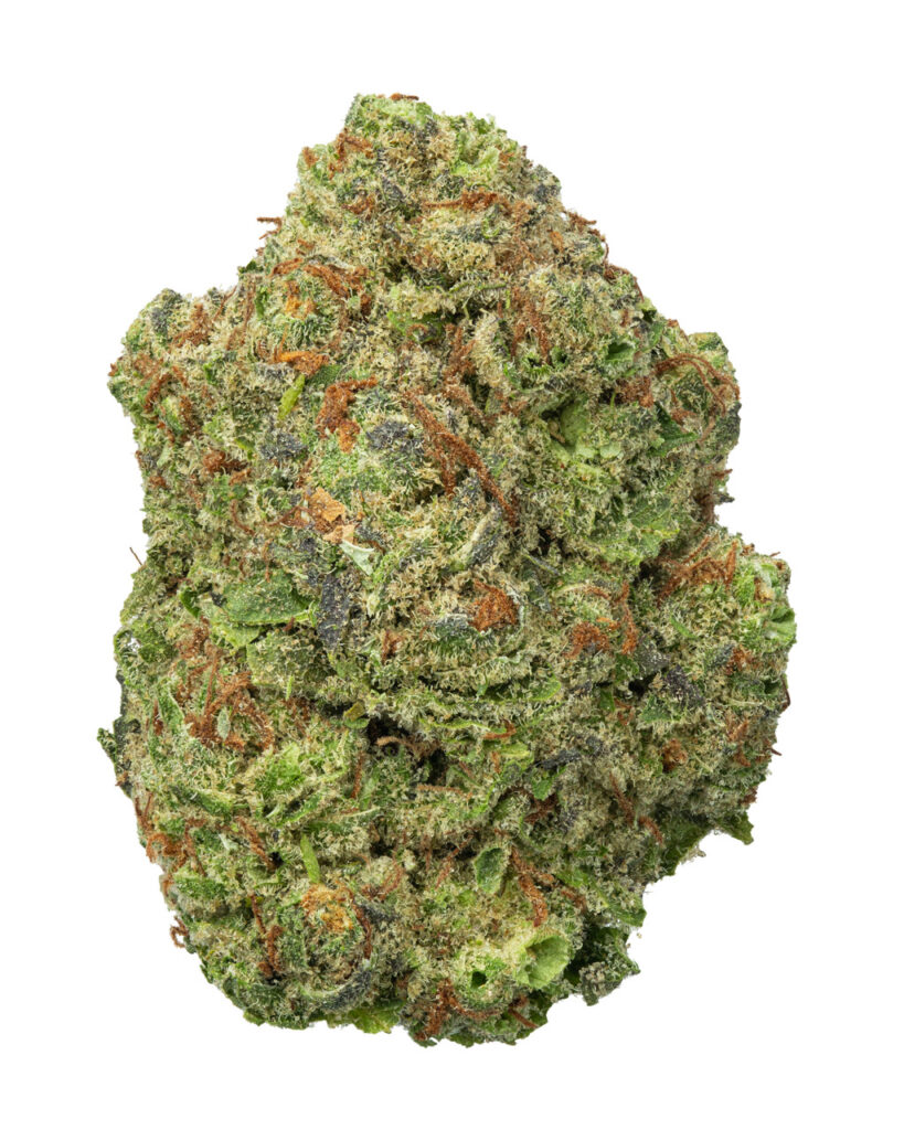 BIGS | Venom OG Living Soil - THCa 28.301% : Terpenes 1.380% - Hybrid