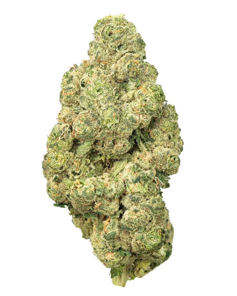 EXOTIC | Lilac Diesel Living Soil - THCa 31.111% : Terpenes 1.460% - Hybrid