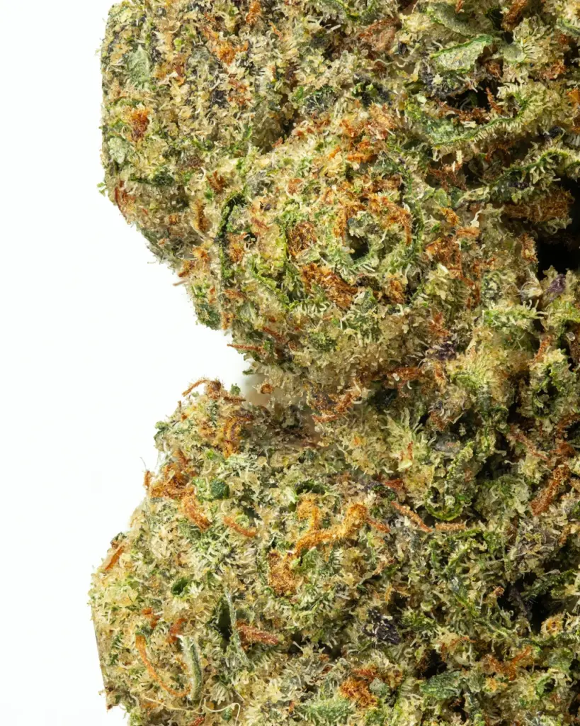 SMALLS | 24 Karat Hydro - THCa 31.112% : Terpenes 3.211% - Indica