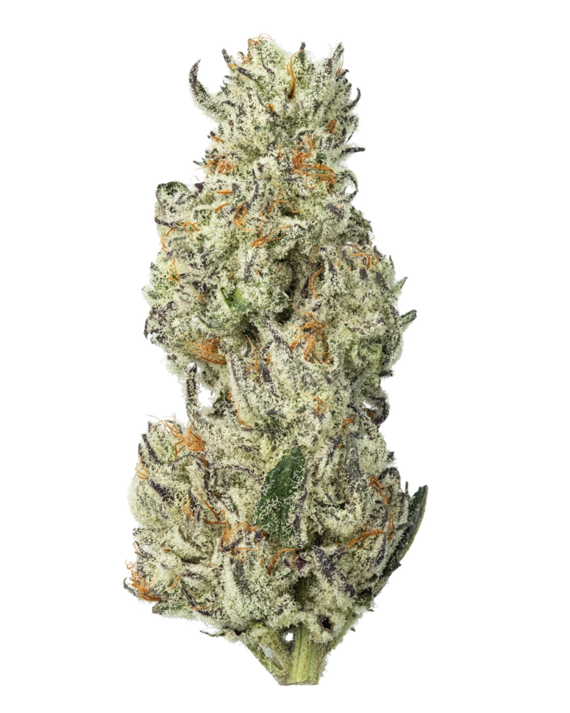 EXOTIC | 5280 Living Soil - THCa 28.584% : Terpenes 1.610% - Indica