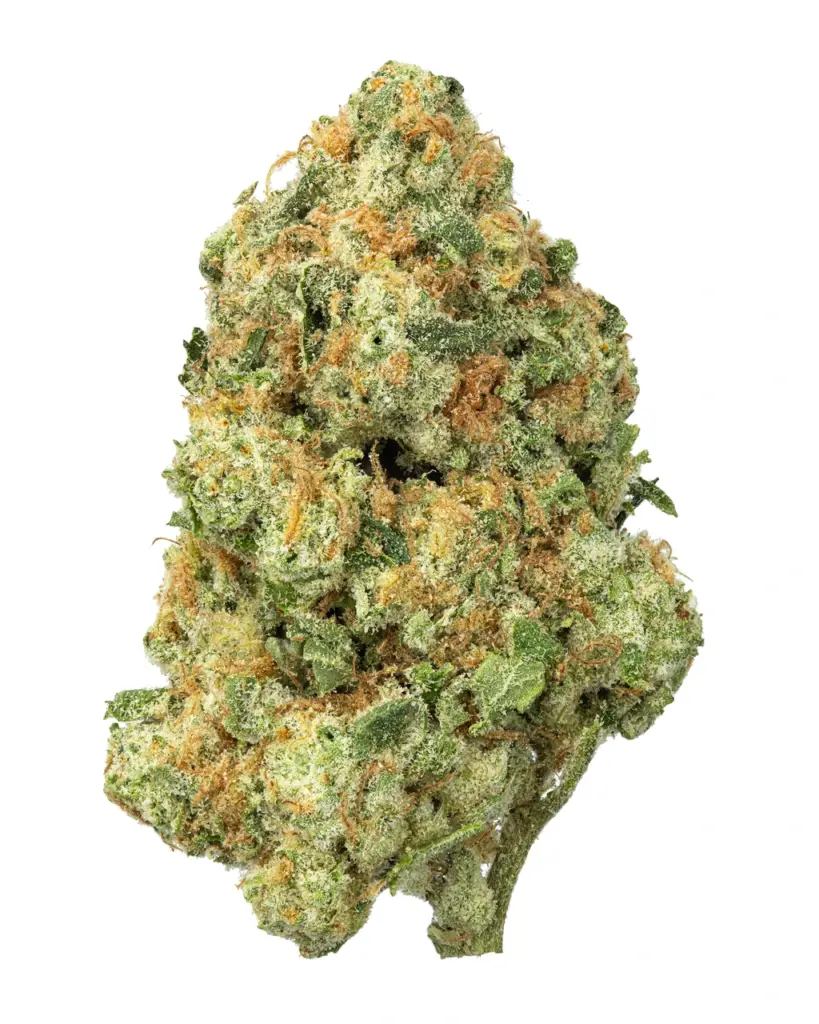 $119.99 | Bubble Bath Living Soil - THCa 29.256% : Terpenes 1.950% - Indica