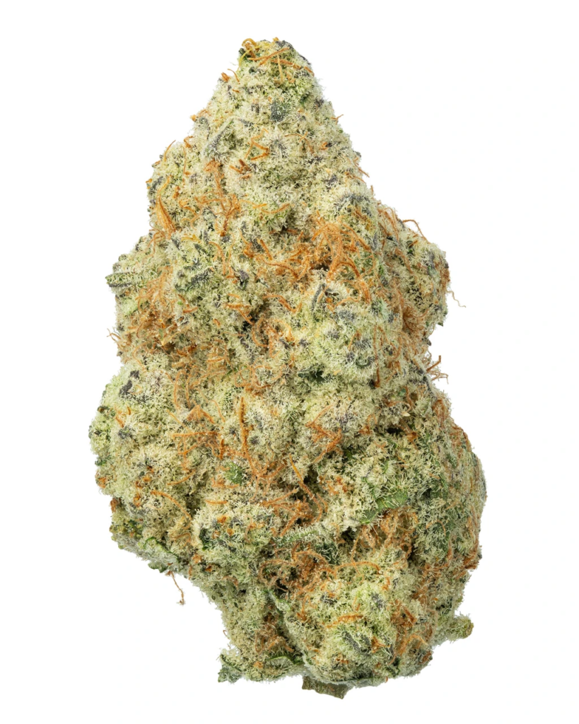 EXOTIC | Dante's Candy Living Soil - THCa 31.229% : Terpenes 1.700% - Indica