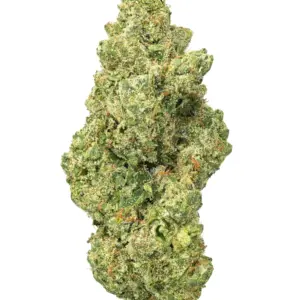 $119.99 | Donny Burger Living Soil - THCa 31.305% : Terpenes 3.670% - Indica