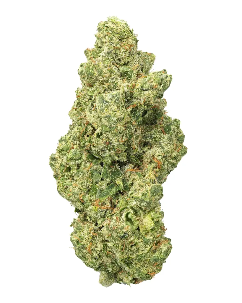 $119.99 | Donny Burger Living Soil - THCa 31.305% : Terpenes 3.670% - Indica