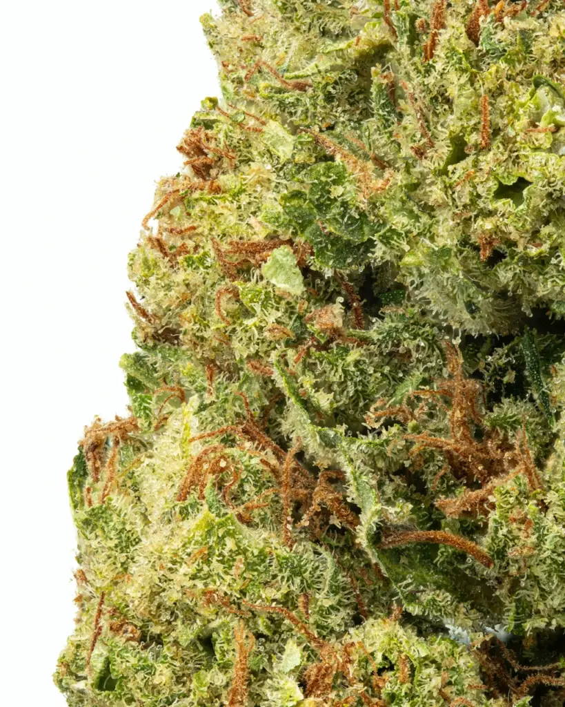 SMALLS | Hellfire Hydro - THCa 32.355% : Terpenes 2.331% - Hybrid