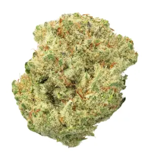 $119.99 | Cobra Chi Living Soil - THCa 28.486% : Terpenes 0.890% - Indica