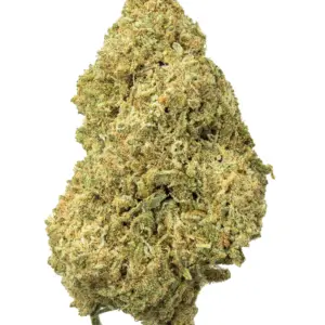 BIGS | Lemon Drop Living Soil - THCa 27.650% : Terpenes 1.290% - Sativa
