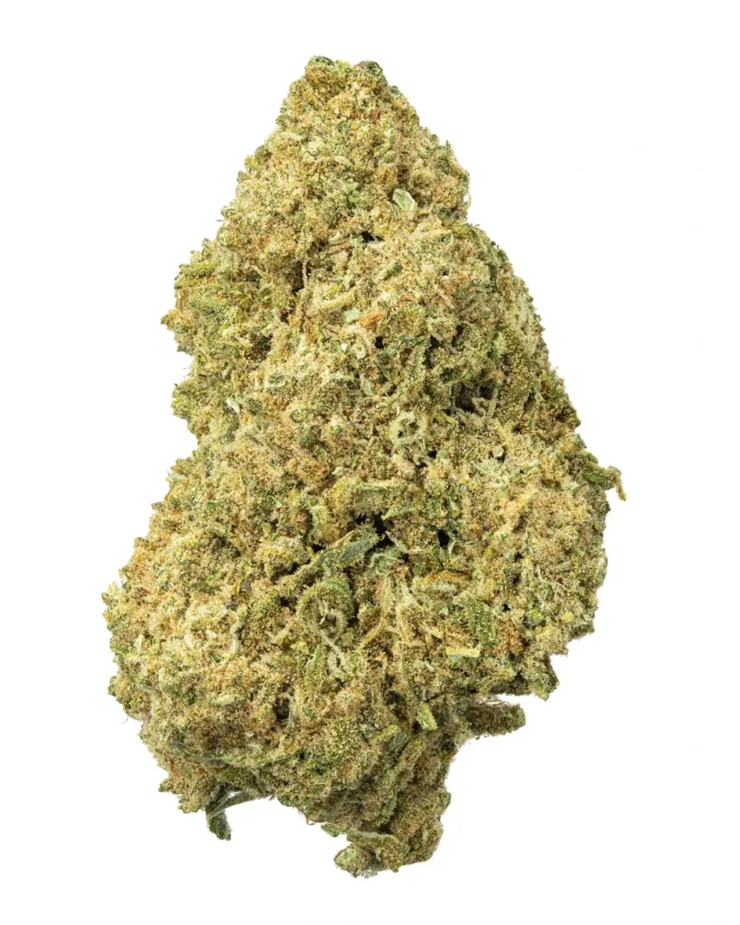 BIGS | Lemon Drop Living Soil - THCa 27.650% : Terpenes 1.290% - Sativa