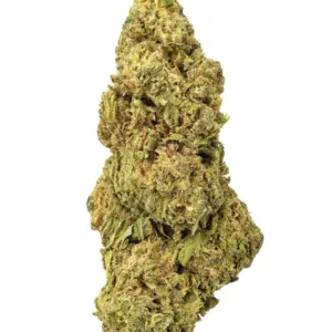 BIGS | Orange Kush Living Soil - THCa 28.239% : Terpenes 1.300% - Indica