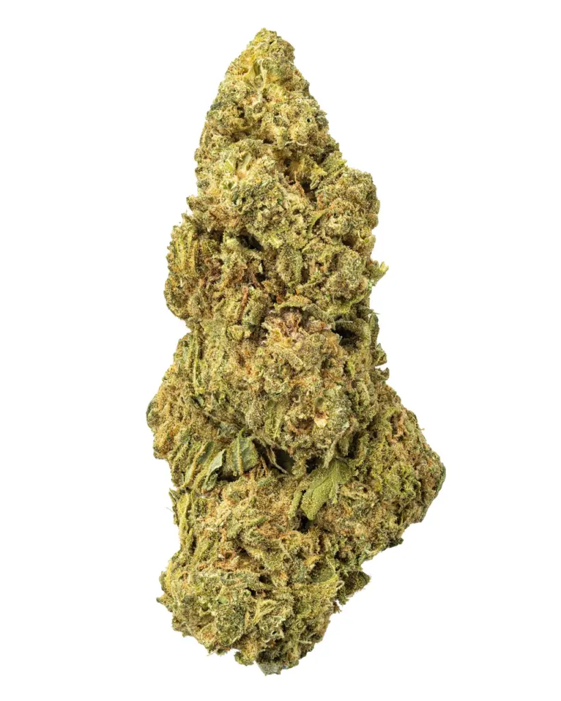 BIGS | Orange Kush Living Soil - THCa 28.239% : Terpenes 1.300% - Indica
